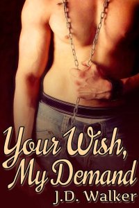 Your Wish My Demand cover